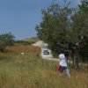 CW Fotos Rally San Marino IRC 2012 030